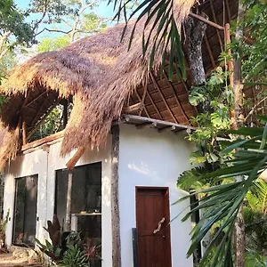 https://selva-roca-tulum.allrivieramayahotels.com